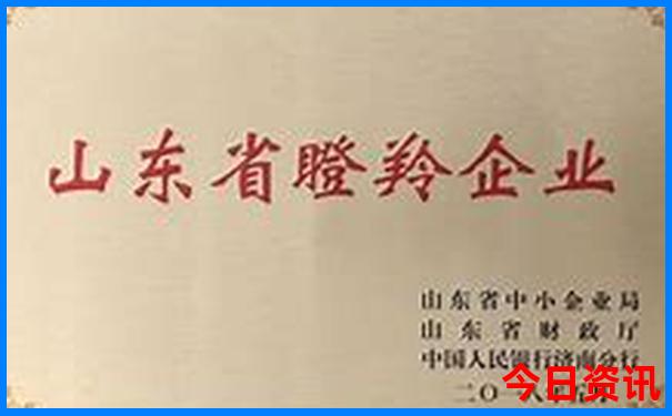 澳门今晚开奖结果2023开奖记录
